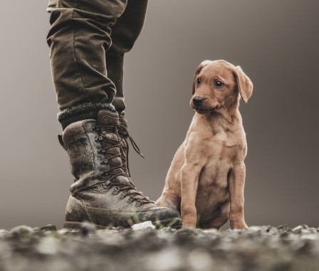 Our Breeder Club benefits